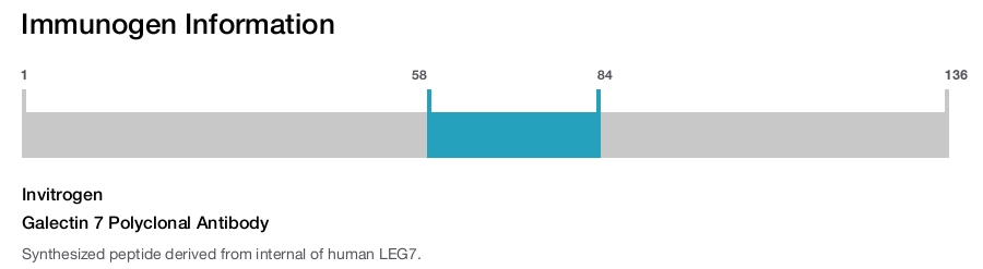 Galectin 7 Polyclonal Antibody