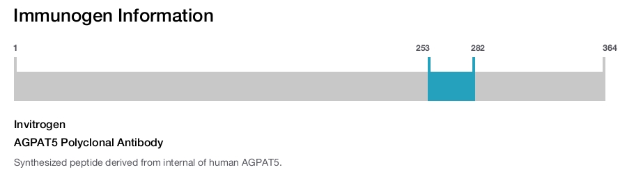 AGPAT5 Polyclonal Antibody