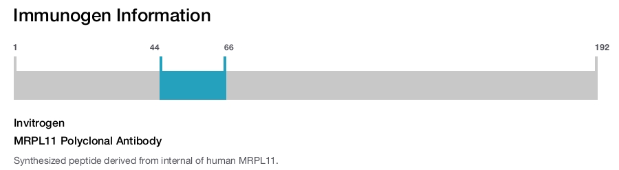 MRPL11 Polyclonal Antibody