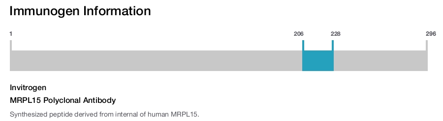 MRPL15 Polyclonal Antibody