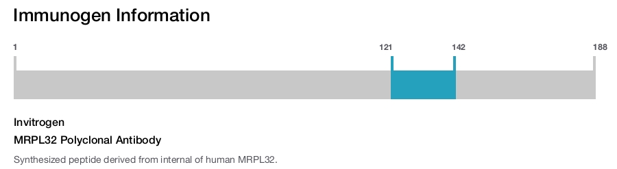 MRPL32 Polyclonal Antibody