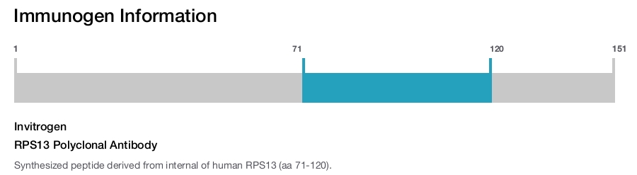 RPS13 Polyclonal Antibody
