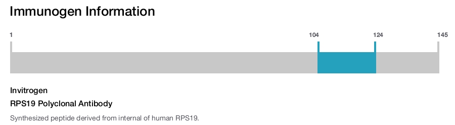 RPS19 Polyclonal Antibody