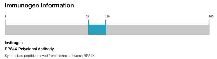 RPS4X Polyclonal Antibody