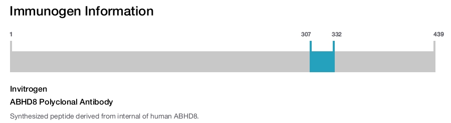 ABHD8 Polyclonal Antibody