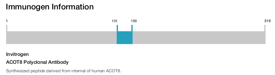 ACOT8 Polyclonal Antibody