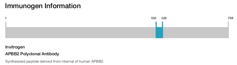 APBB2 Polyclonal Antibody
