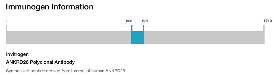 ANKRD26 Polyclonal Antibody