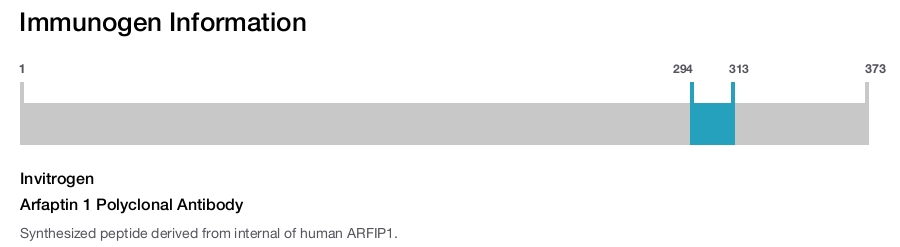 Arfaptin 1 Polyclonal Antibody