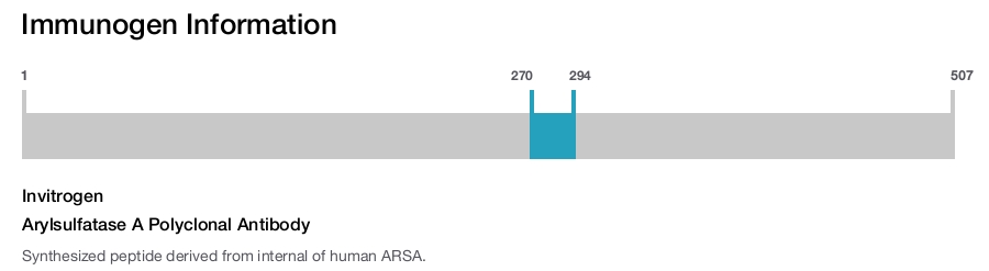 Arylsulfatase A Polyclonal Antibody