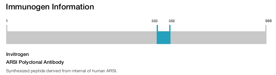 ARSI Polyclonal Antibody