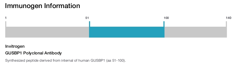 GUSBP1 Polyclonal Antibody
