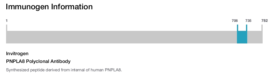 PNPLA8 Polyclonal Antibody