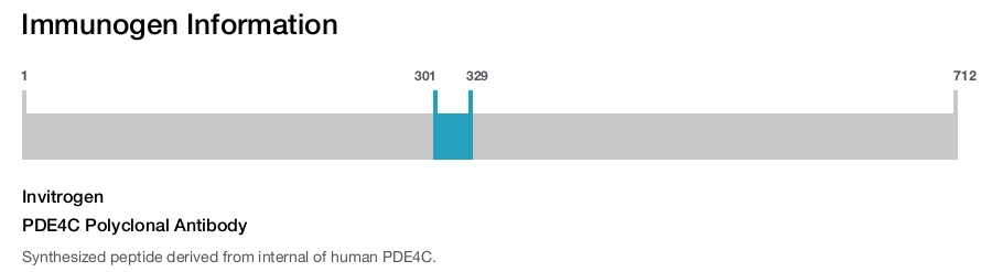 PDE4C Polyclonal Antibody