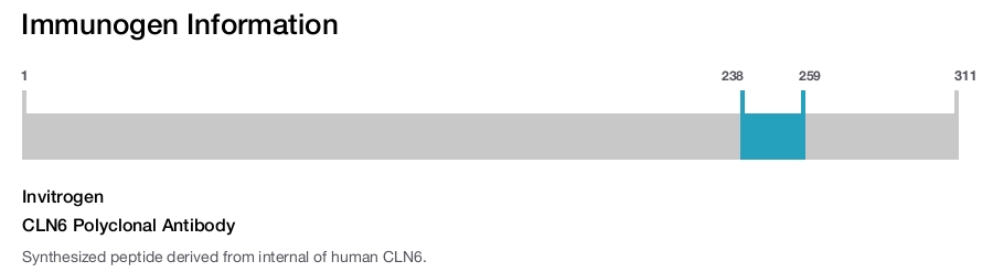 CLN6 Polyclonal Antibody