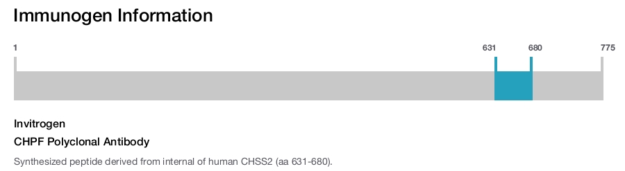 CHPF Polyclonal Antibody