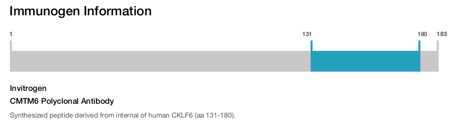 CMTM6 Polyclonal Antibody