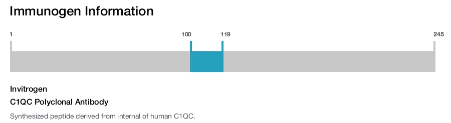 C1QC Polyclonal Antibody
