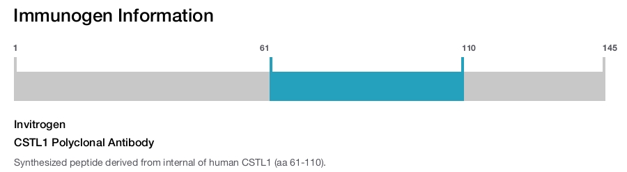 CSTL1 Polyclonal Antibody