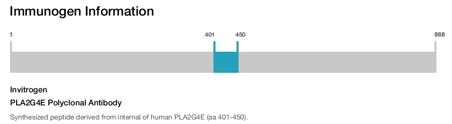 PLA2G4E Polyclonal Antibody