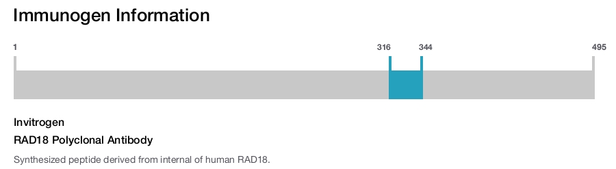 RAD18 Polyclonal Antibody