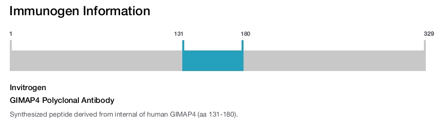 GIMAP4 Polyclonal Antibody