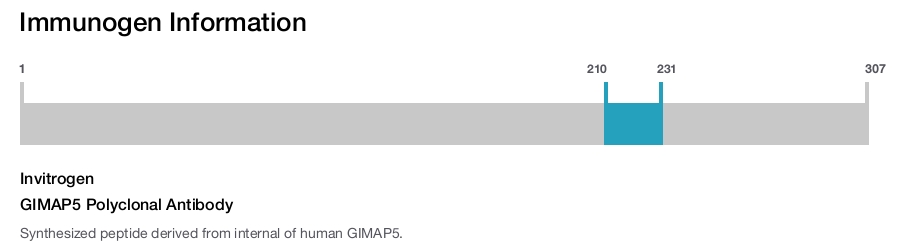 GIMAP5 Polyclonal Antibody