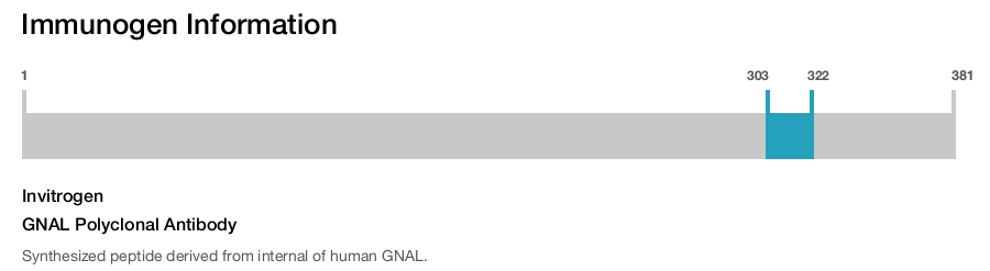 GNAL Polyclonal Antibody