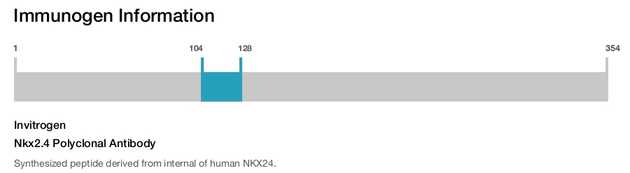Nkx2.4 Polyclonal Antibody