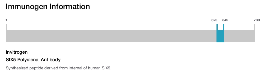 SIX5 Polyclonal Antibody