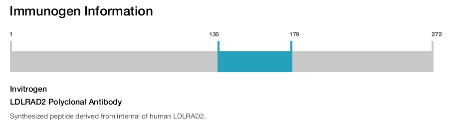 LDLRAD2 Polyclonal Antibody