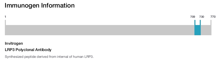 LRP3 Polyclonal Antibody