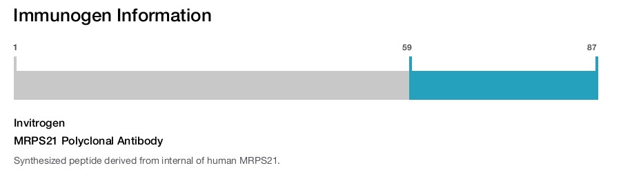 MRPS21 Polyclonal Antibody
