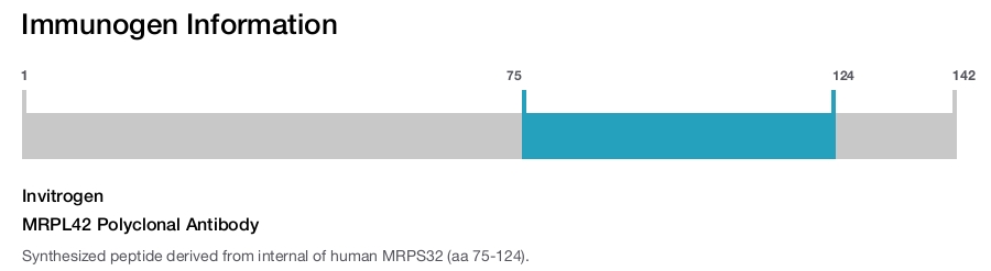 MRPL42 Polyclonal Antibody