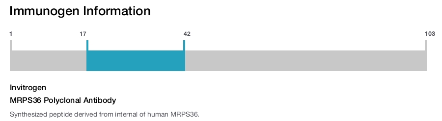 MRPS36 Polyclonal Antibody