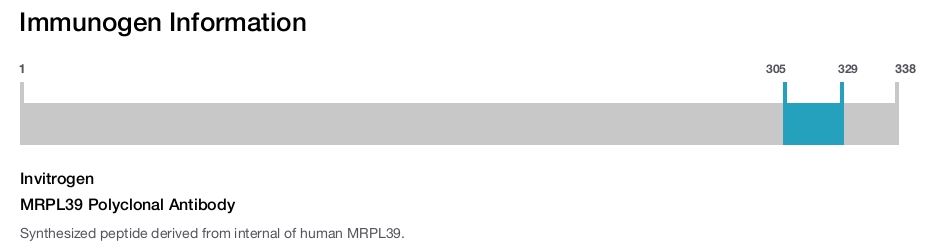 MRPL39 Polyclonal Antibody