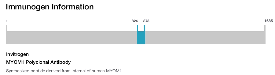 MYOM1 Polyclonal Antibody