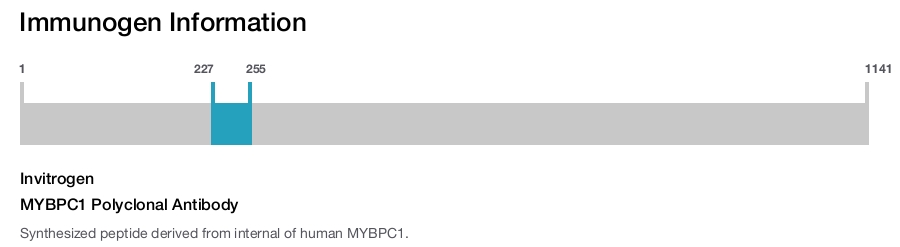 MYBPC1 Polyclonal Antibody