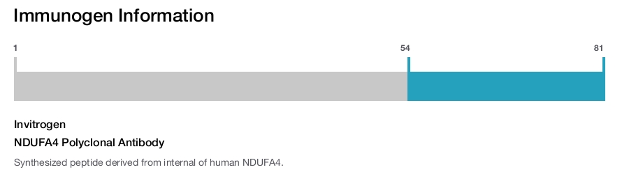 NDUFA4 Polyclonal Antibody