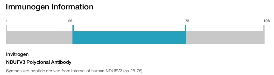 NDUFV3 Polyclonal Antibody