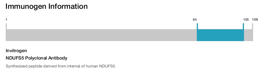 NDUFS5 Polyclonal Antibody