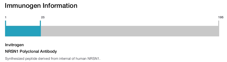NRSN1 Polyclonal Antibody