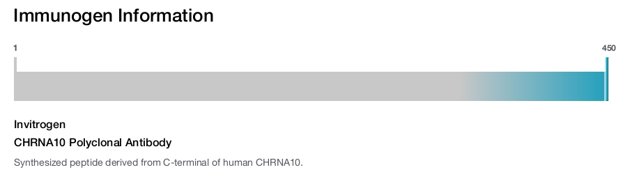 CHRNA10 Polyclonal Antibody