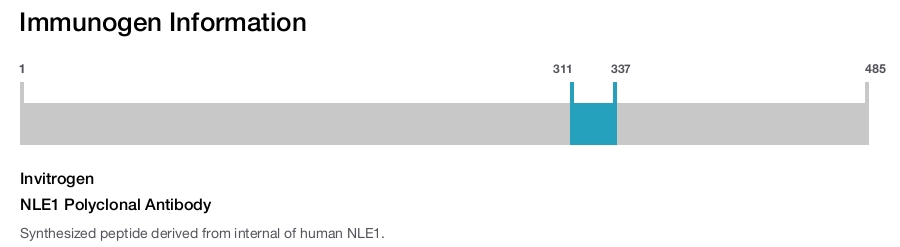 NLE1 Polyclonal Antibody