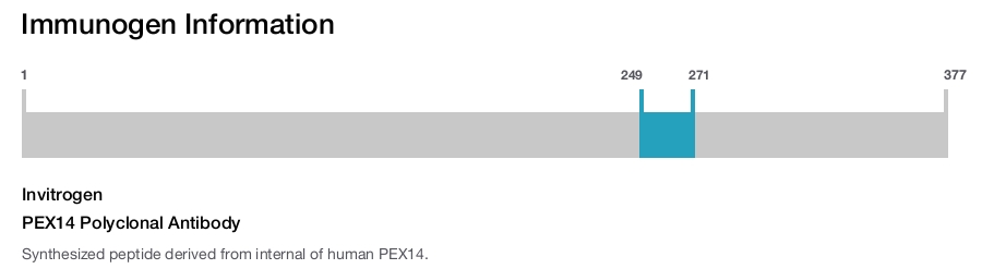 PEX14 Polyclonal Antibody
