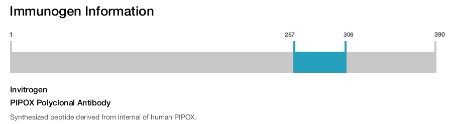 PIPOX Polyclonal Antibody