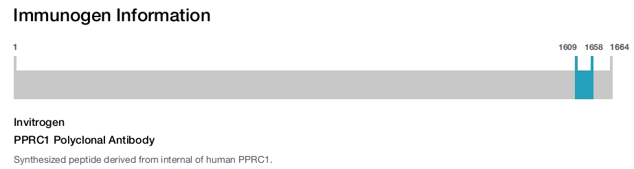 PPRC1 Polyclonal Antibody