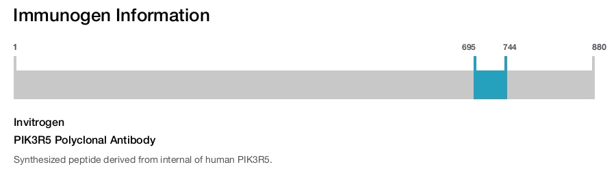 PIK3R5 Polyclonal Antibody