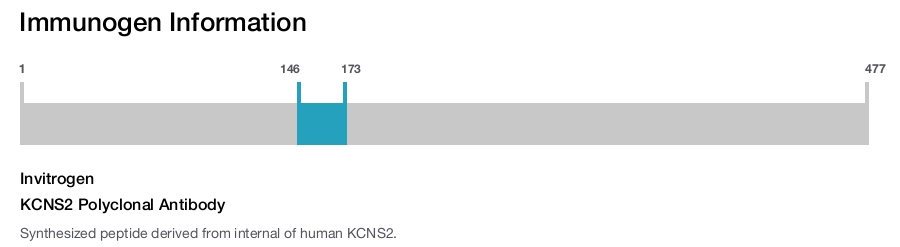 KCNS2 Polyclonal Antibody