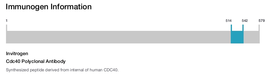 Cdc40 Polyclonal Antibody